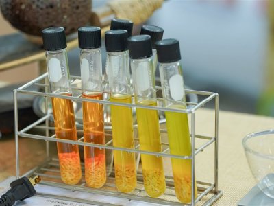 SS Rice News Convention 2025, Pattaya - Thailand